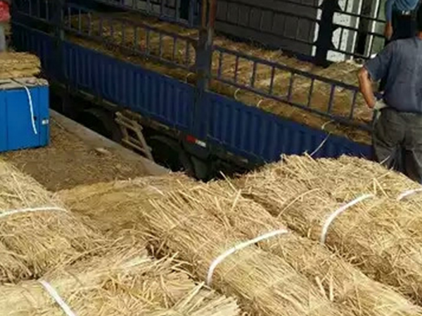 不會使用條形草支墊，建學草編制品來教你